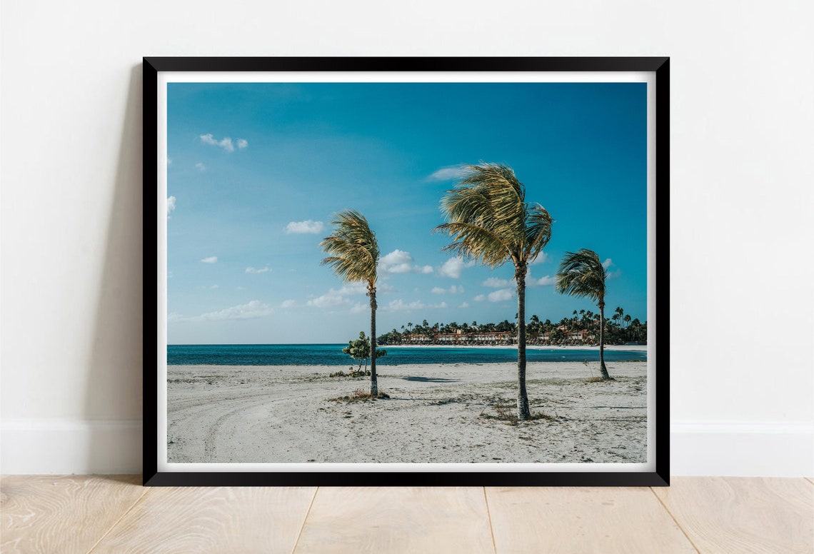 Eagle Beach Aruba Palm Trees White Sand Turquoise Sea Poster