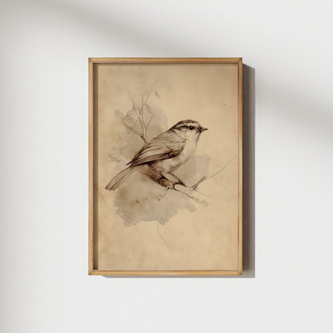 Vintage Bird on Branch Sepia Tone Antique Naturalist Sketch Poster