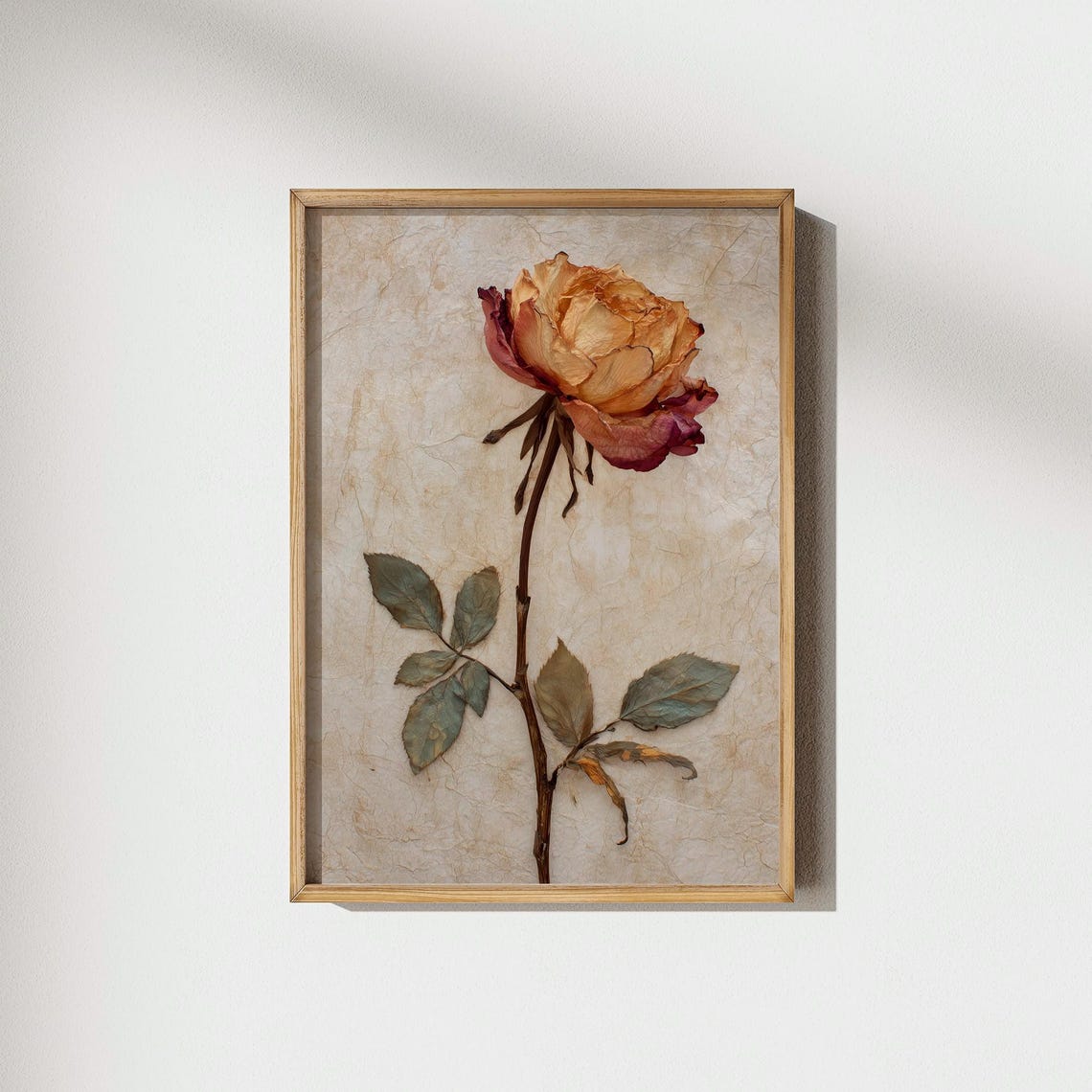 Dried Peach Rose Pressed Flower Vintage Botanical Art Poster