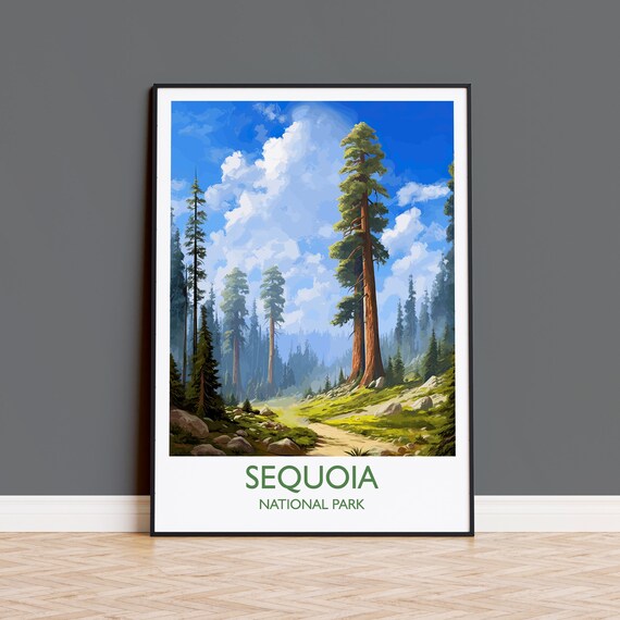 Sequoia National Park California Giant Redwood Trees Travel Poster