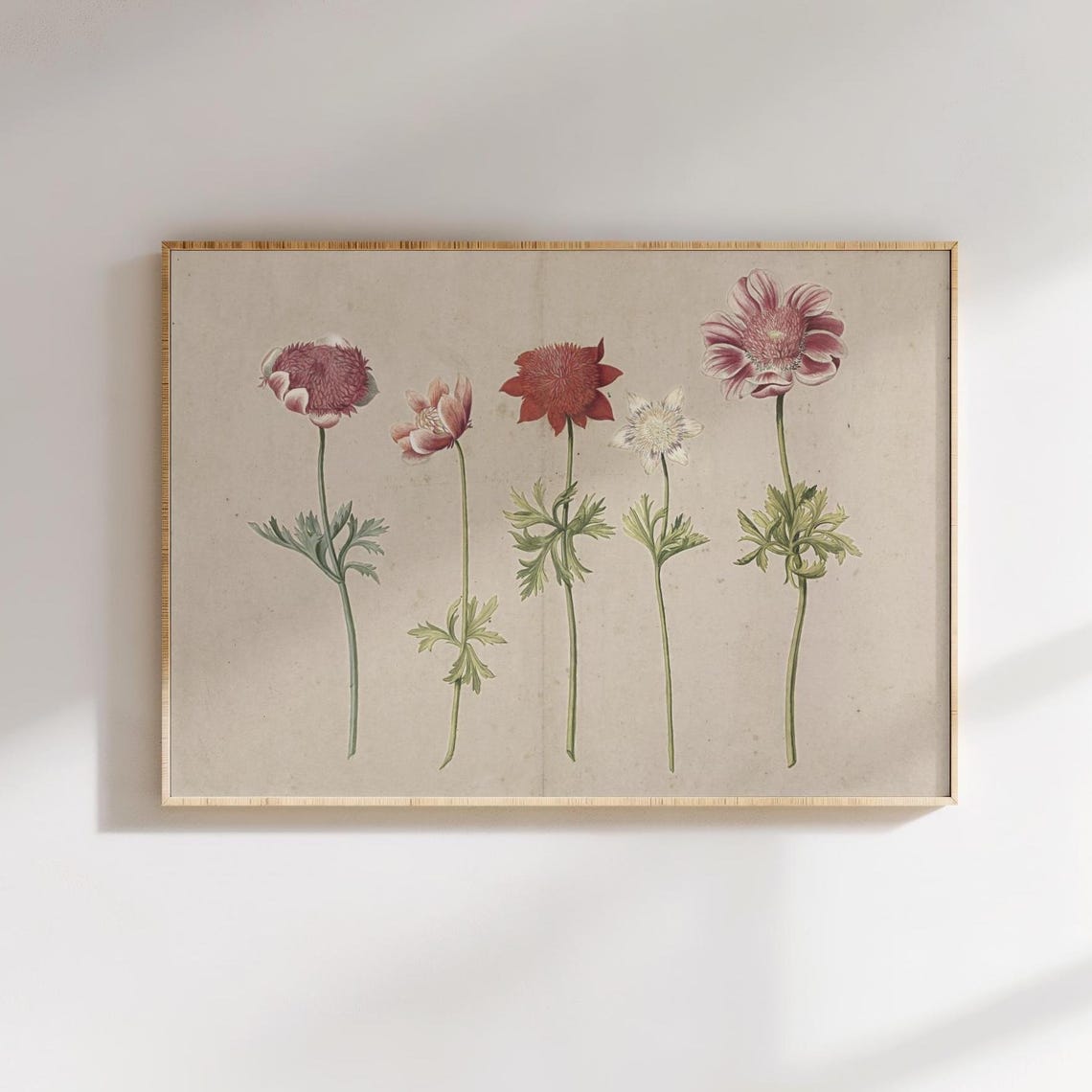 Vintage Botanical Flower Study Pink Red White Blooms Art Poster - Image 2