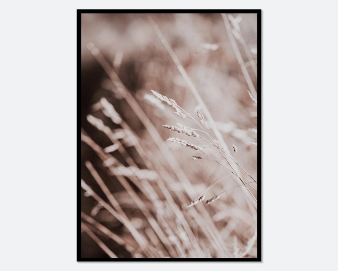 Grass Seed Heads in Warm Sepia Soft Botanical Close Up Poster