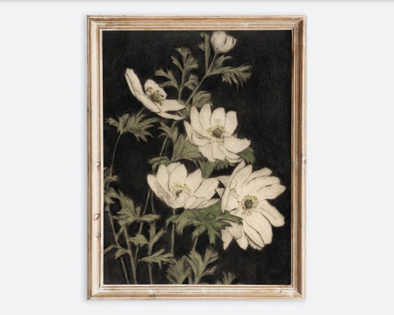 Vintage Anemones Flowers Botanical Wall Art Print Rustic Black Beige Antique Oil Painting Dark Moody Farmhouse Floral Poster Vp209