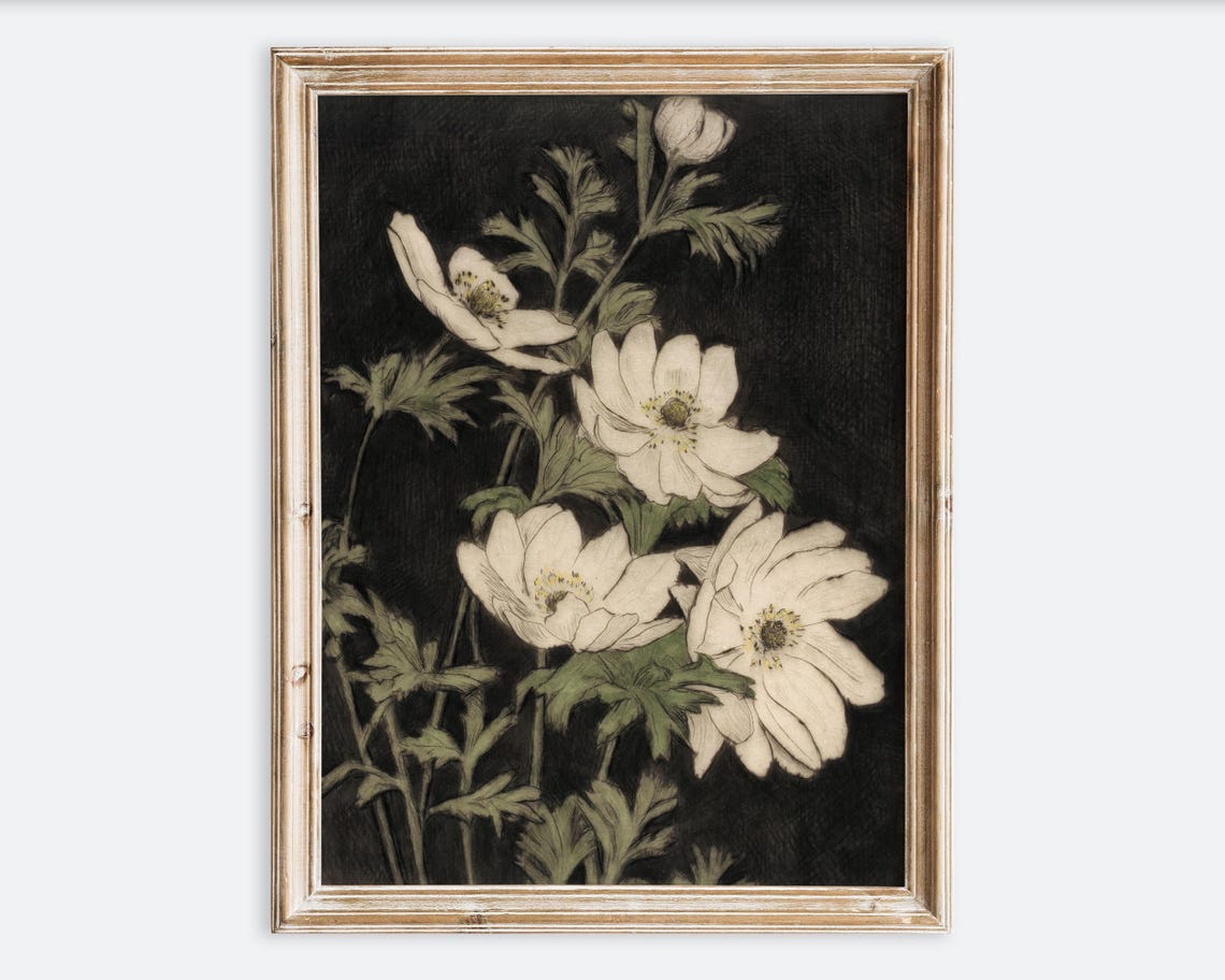 Vintage Anemones Flowers Botanical Wall Art Print Rustic Black Beige Antique Oil Painting Dark Moody Farmhouse Floral Poster Vp209