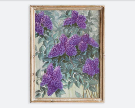 Vintage Purple Lilac Wall Art Print Antique Botanical Flower Poster Rustic Spring Garden Still Life Painting Floral Nature Decor Vp311