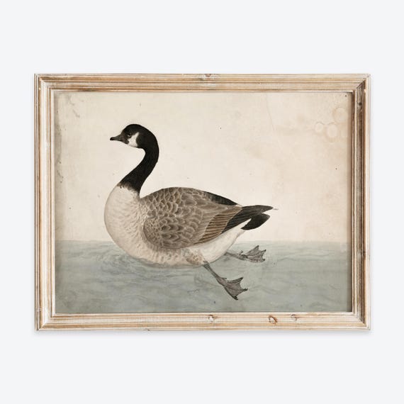 Vintage European Minimalist Goose Birds Animal Illustration Painting Wall Art Print Rustic Farmhouse Poster Antique Moody Decor Vp213