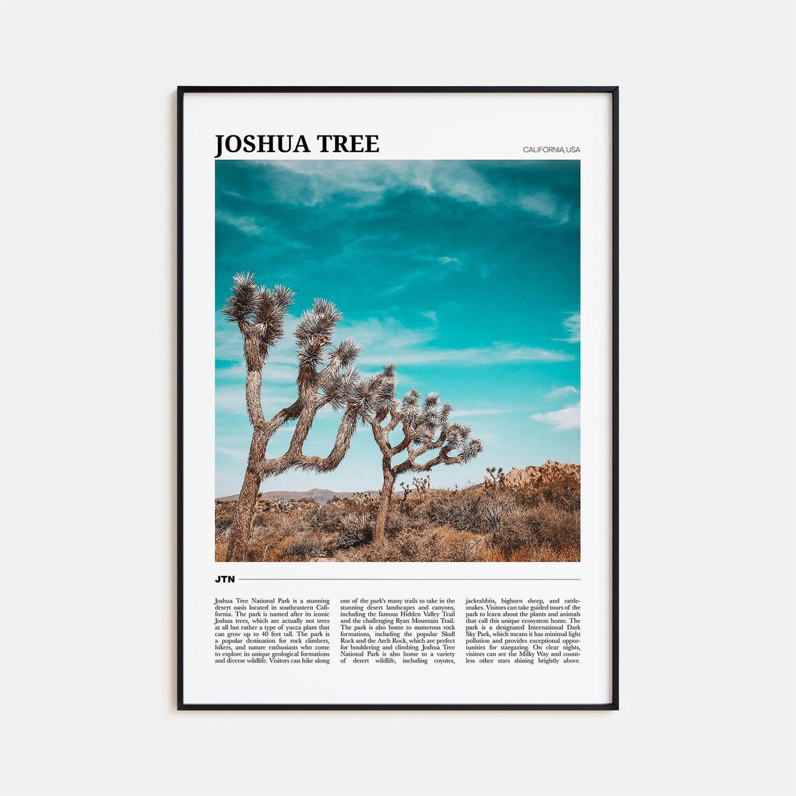 Joshua Tree National Park Travel Poster Print