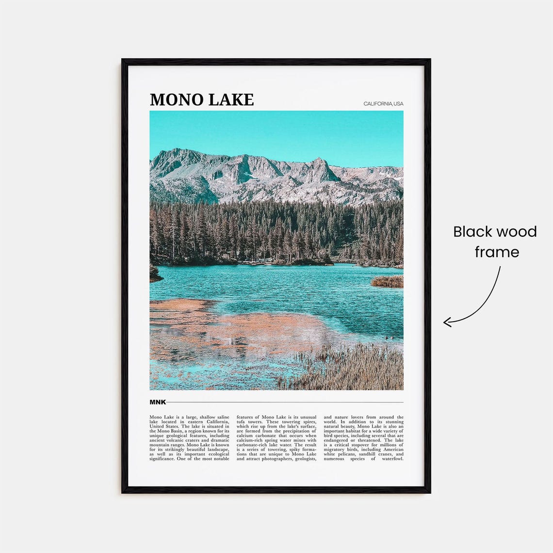 Mono Lake Travel Poster Mono Lake Wall Art Mono Lake Poster Print Mono Lake Photo Mono Lake Decor California Usa - Image 2