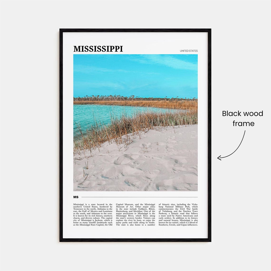 Mississippi Gulf Coast Beach Marsh Nature Travel Poster Series - Image 2