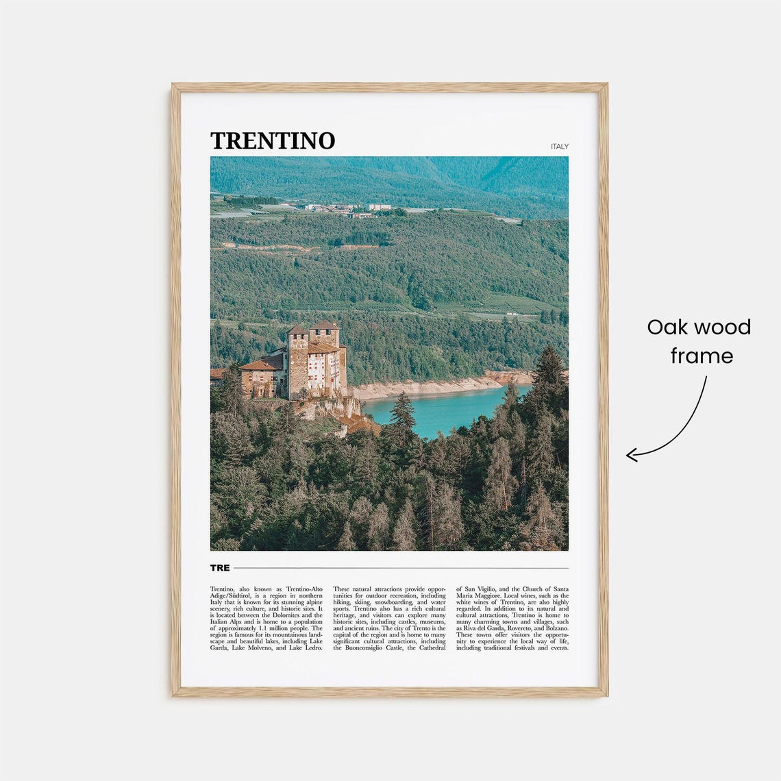 Trentino Travel Poster No 1 Trentino Wall Art Trentino Poster Print Trentino Photo Trentino Decor Italy - Image 3