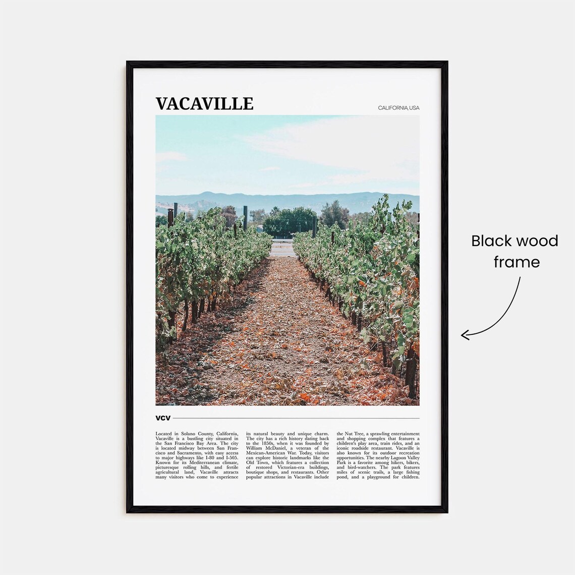 Vacaville California Vineyard Rows Wine Country Scenic Travel Poster - Image 2