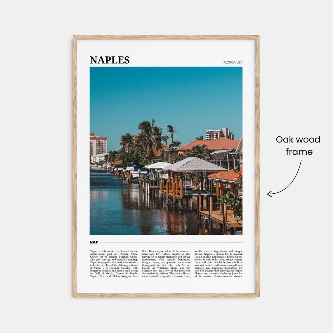 Naples Florida USA Marina Sailboats Palm Trees Waterfront Photo Poster - Image 3