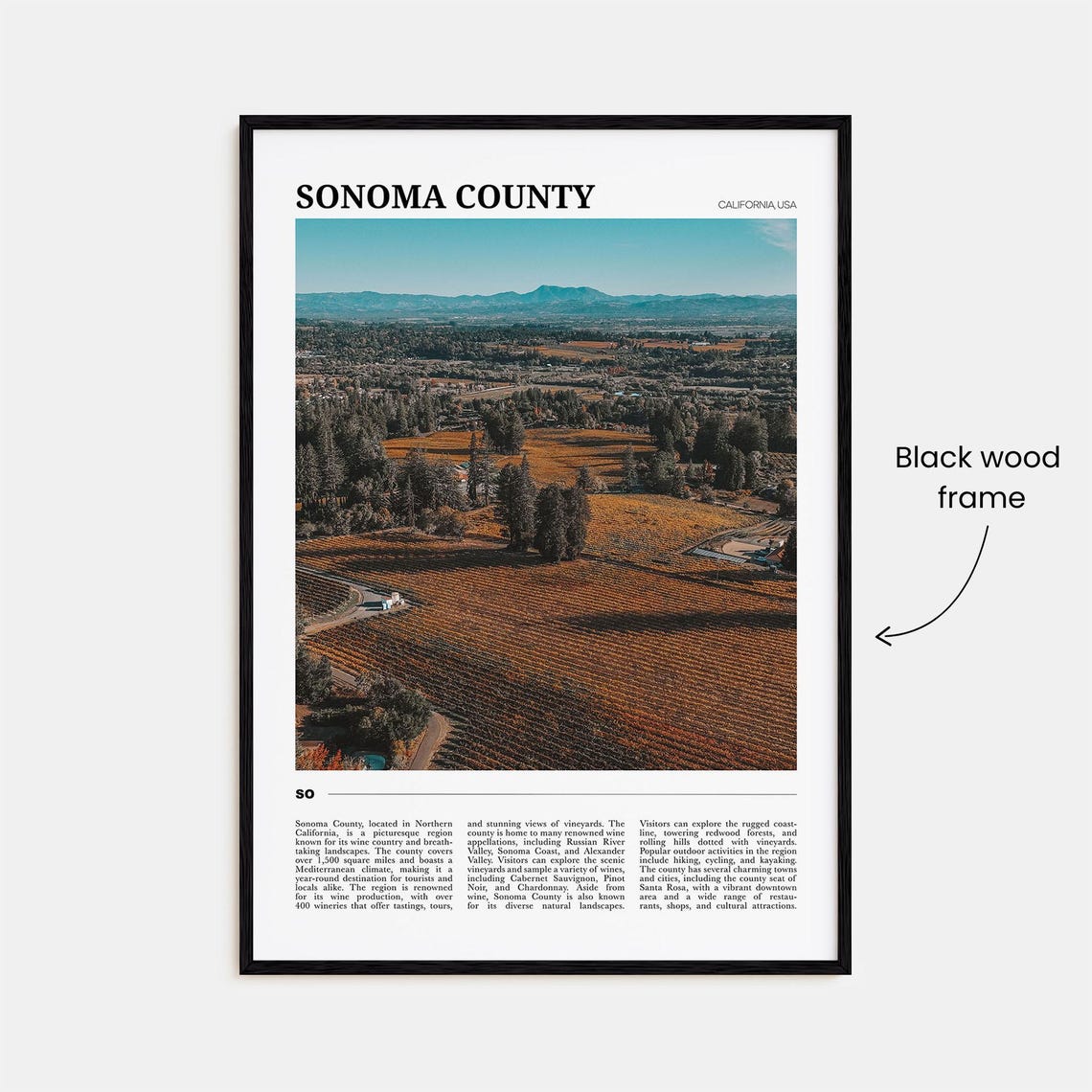Sonoma County California Wine Country Vineyard Hills Travel Poster - Image 2