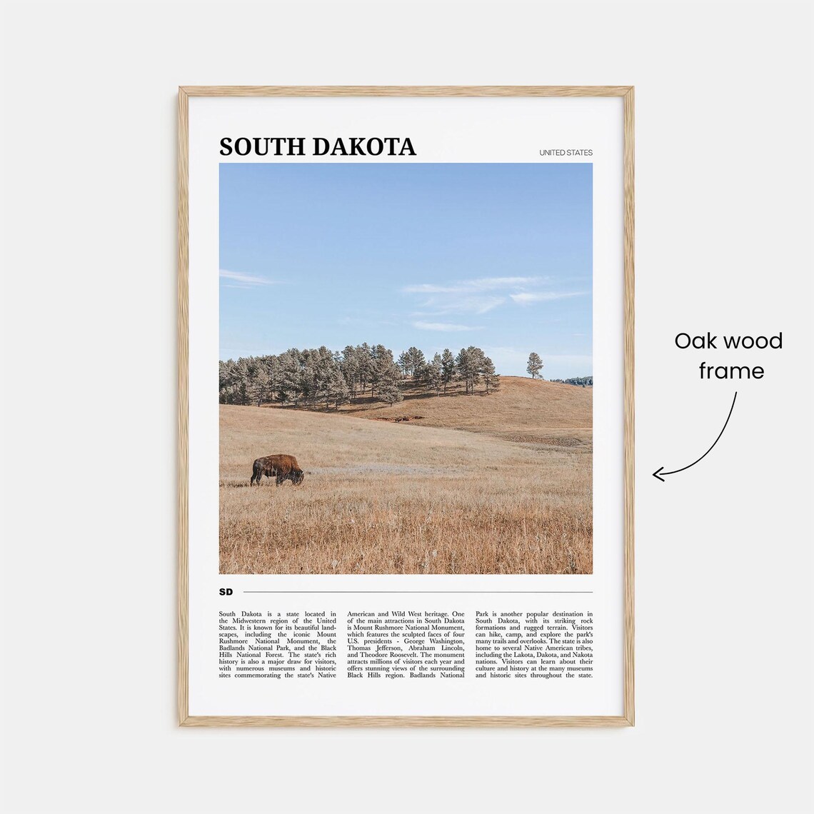 South Dakota Great Plains Bison Prairie Travel Poster Photo Art - Image 3