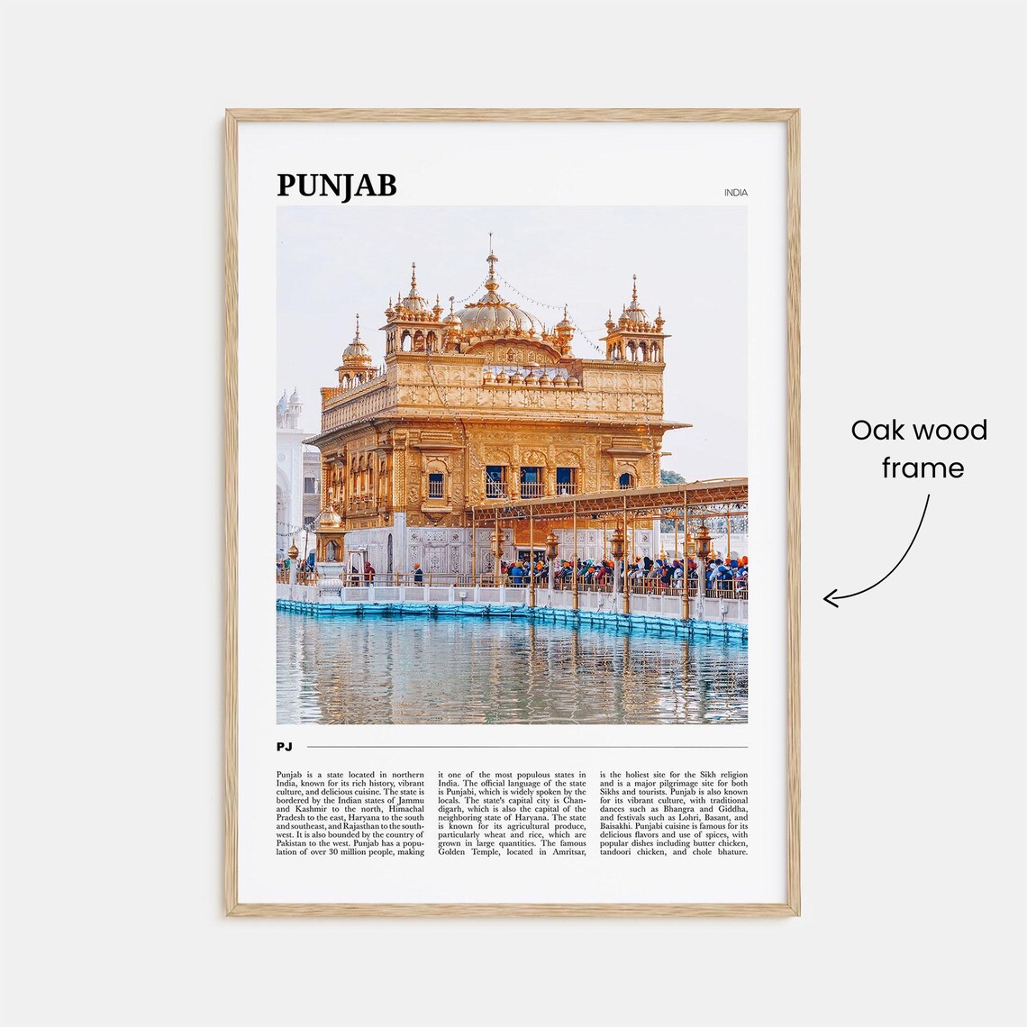 Punjab Travel Poster, India Travel Poster Art - Image 3