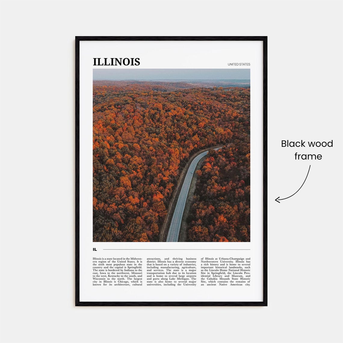 Illinois USA Scenic Fall Foliage Forest Highway Aerial Poster - Image 2