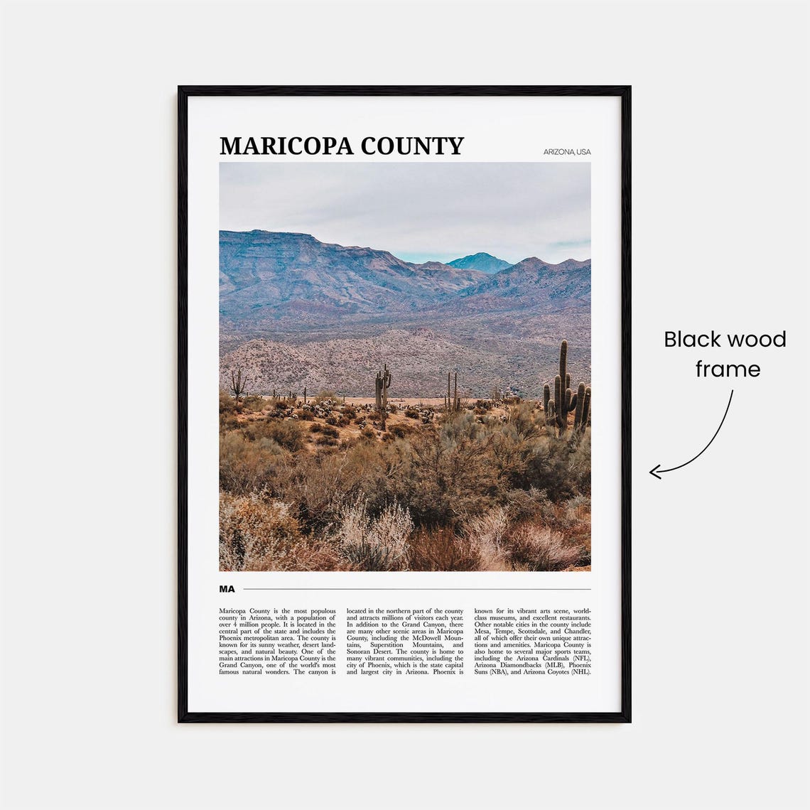 Maricopa County Arizona Saguaro Desert Mountain Travel Poster - Image 2