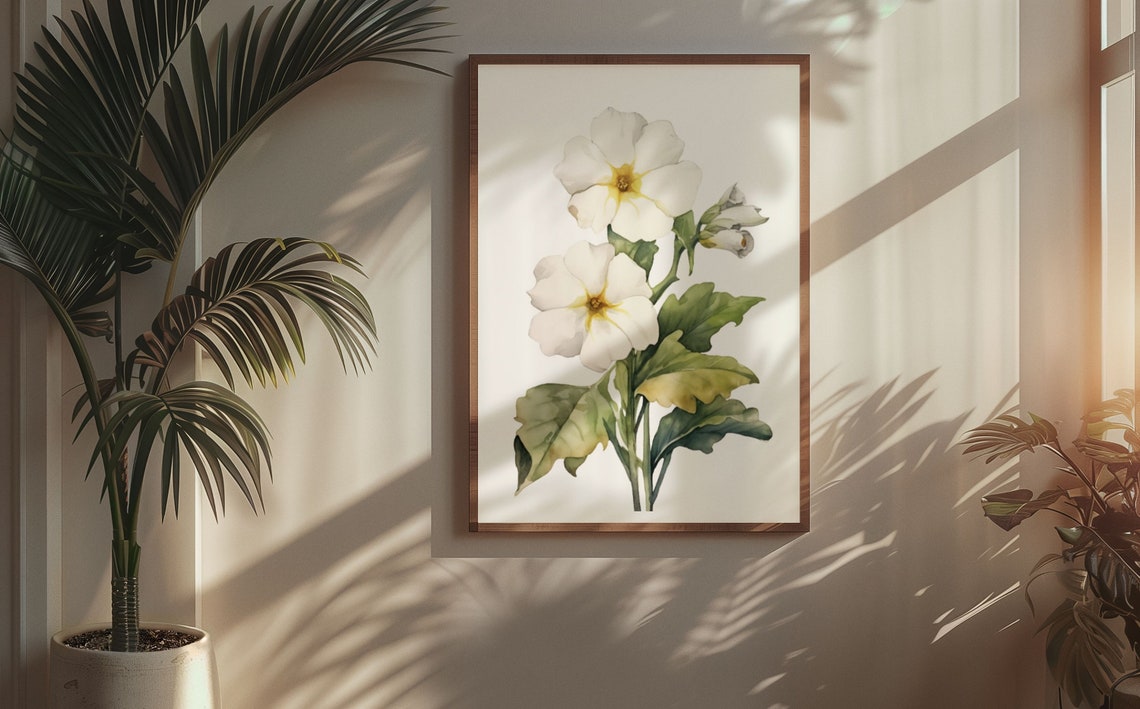 White Primrose Twin Blooms Watercolour Botanical Flower Poster - Image 6