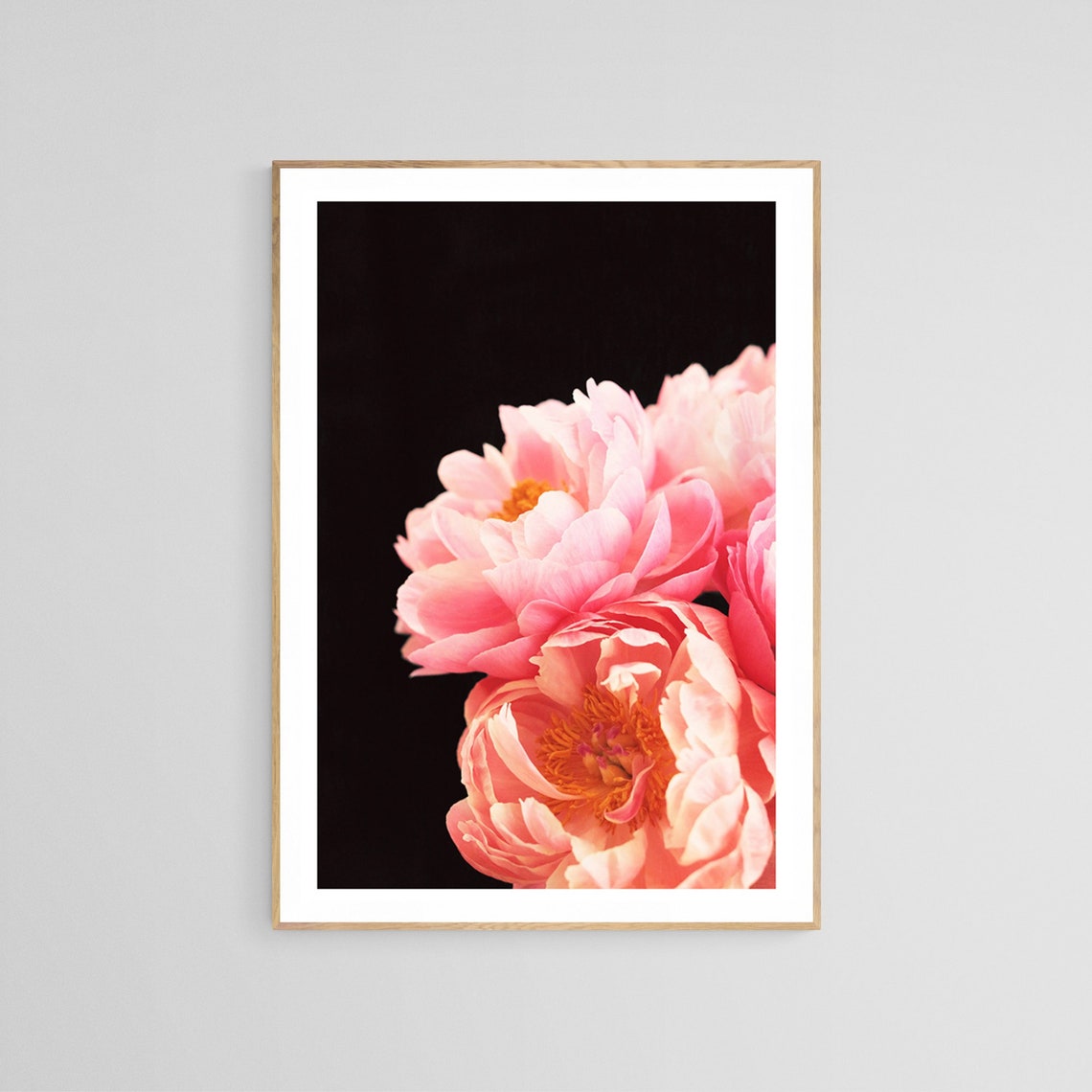 Peony Photograph, Botanical Floral Wall Art Print