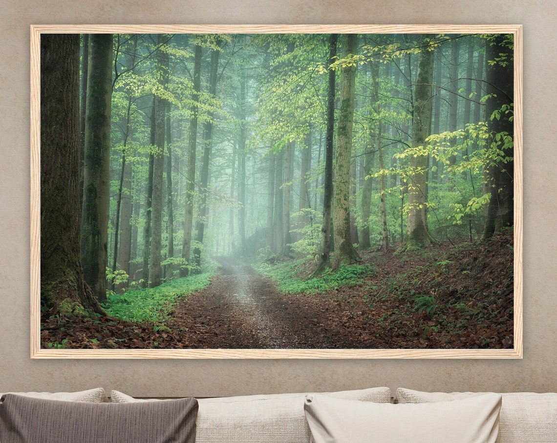 Misty Spring Forest Path Tall Trees Foggy Trail Nature Poster