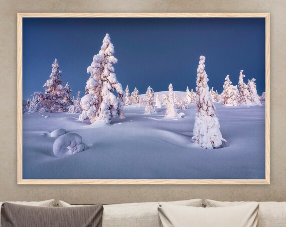 Snow Laden Pines At Blue Hour In A Silent Winter Wonderland Poster