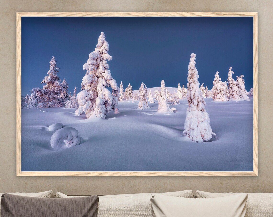 Snow Laden Pines At Blue Hour In A Silent Winter Wonderland Poster