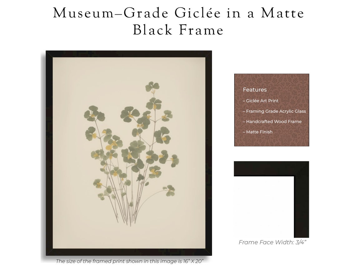 Wild Fern Botanical Study Pressed Leaves On Cream Paper Poster - Image 3