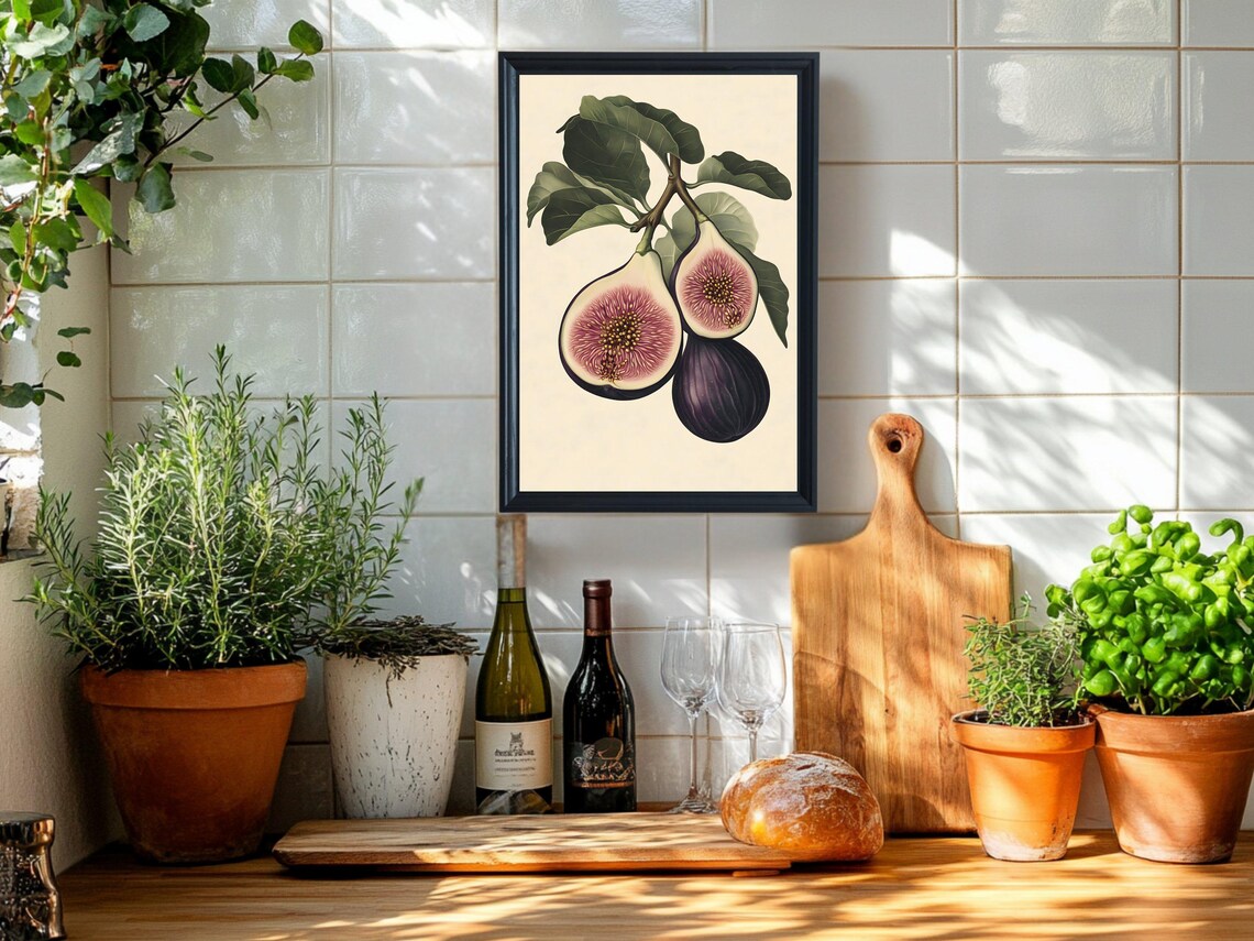 Fig Branch Botanical Illustration Vintage Fruit Kitchen Poster - Image 2