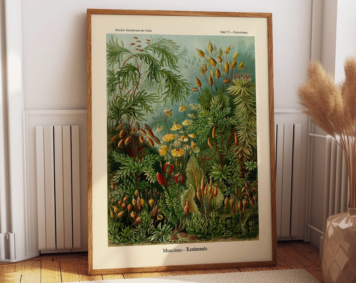 Moss Illustration Nature Poster, Wall Art Print