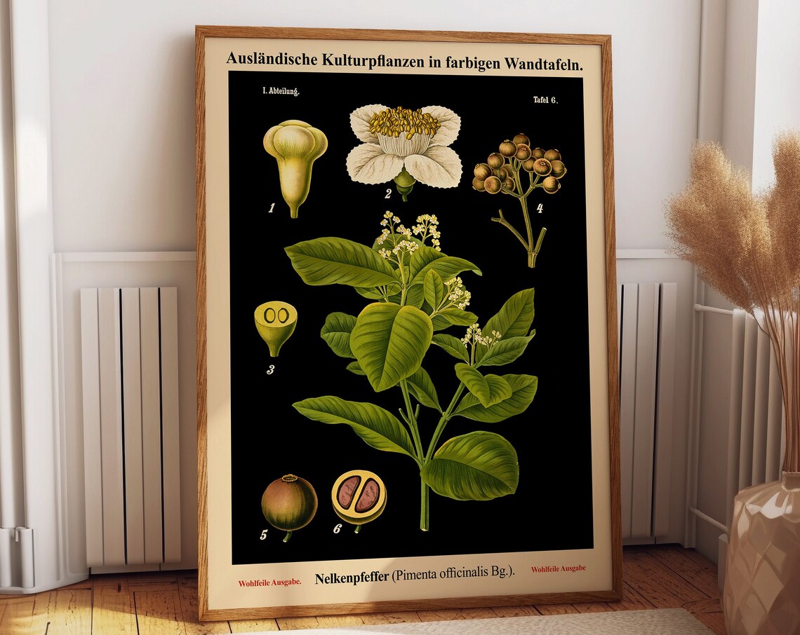Black Botanical Pepper Chart, Vintage Wall Art Print