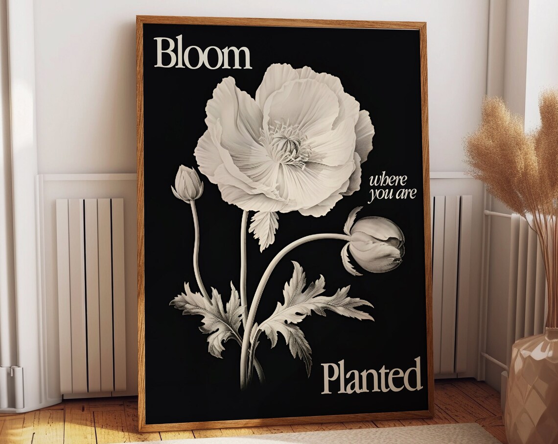 Bloom Where You Are Planted Anemone Botanical Quote Art Poster