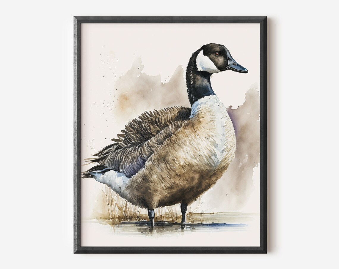 Canadian Goose Watercolor Standing Water Bird Nature Art Poster