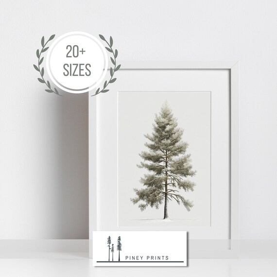 Snowy Pine Tree Minimalist Winter Botanical Single Tree Art Poster