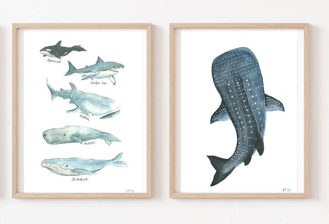 Whale Shark Picture Poster A4 21 X 30 Cm Childrens Room Watercolor Print Decoration Gift Colorful Animals Sea Shark Whale Ocean Maritime Animal Picture Art Print - Image 2