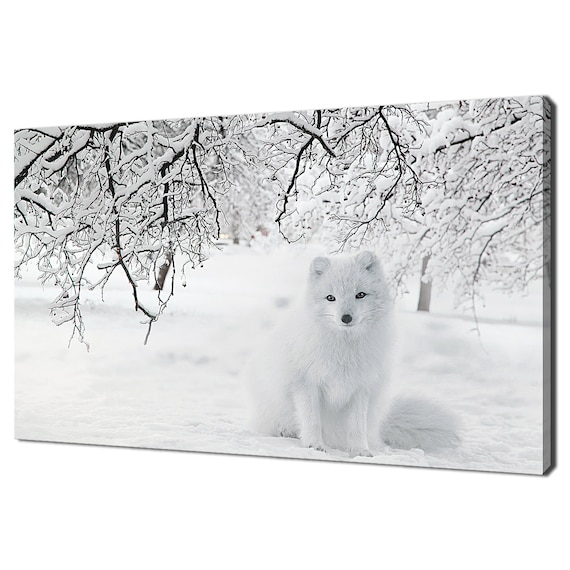Arctic Fox In Snow White Winter Wildlife Cute Animal Photo Poster