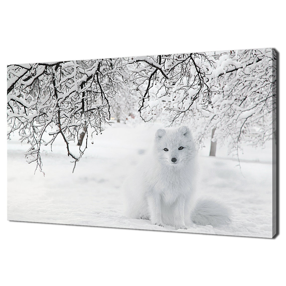 Arctic Fox In Snow White Winter Wildlife Cute Animal Photo Poster