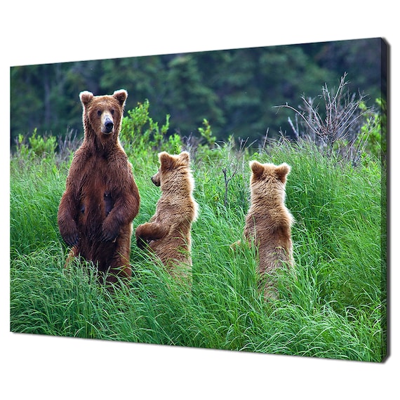 Grizzly Bear Mother And Cubs Standing Tall Green Grass Wildlife Wall Art Poster