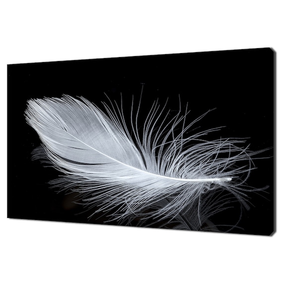White Feather Fashion Modern Design Art Print