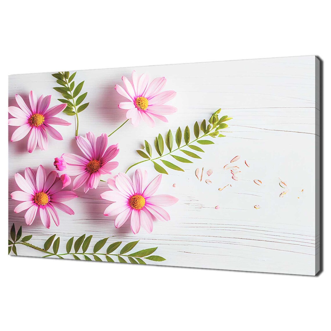 Pink Daisy Flowers White Wood Background Fresh Spring Floral Poster