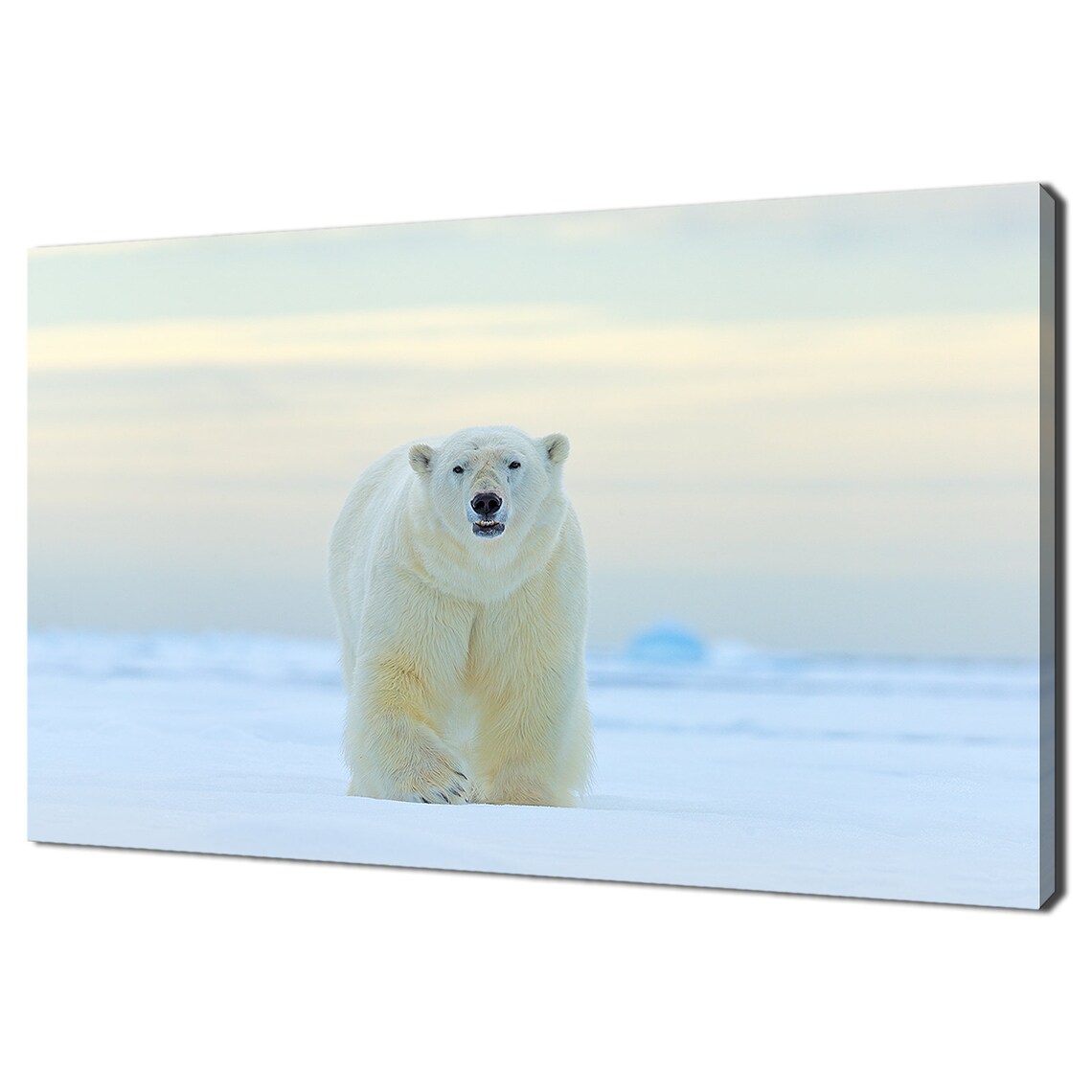 Polar Bear Walking in the Snow, Modern Wall Art Print