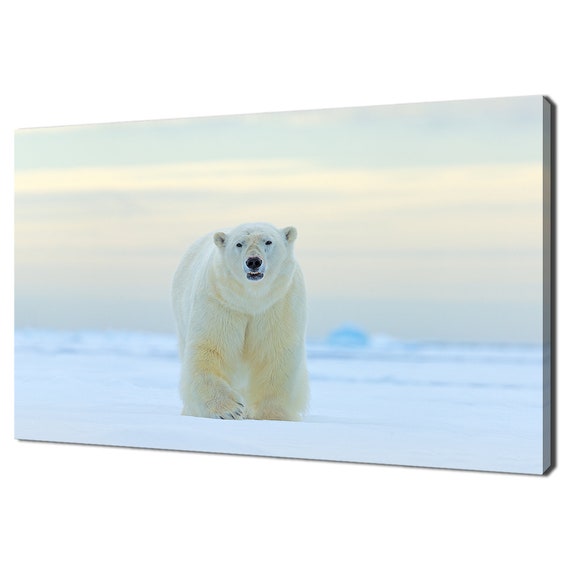 Polar Bear Walking in the Snow, Modern Wall Art Print