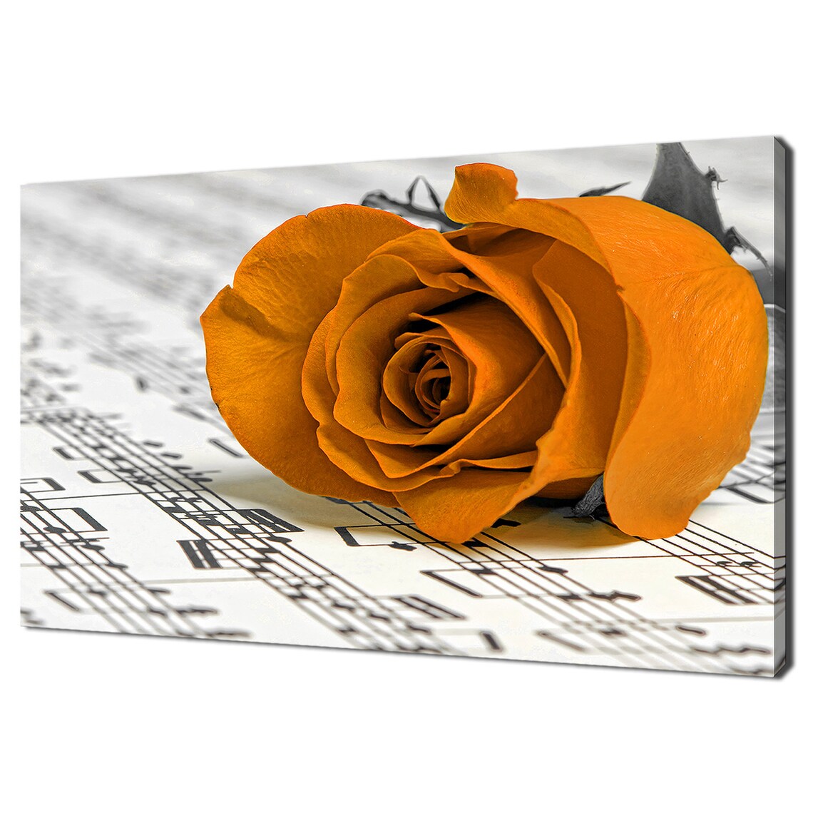 Orange Rose Flower On Sheet Music Selective Color Musical Art Poster