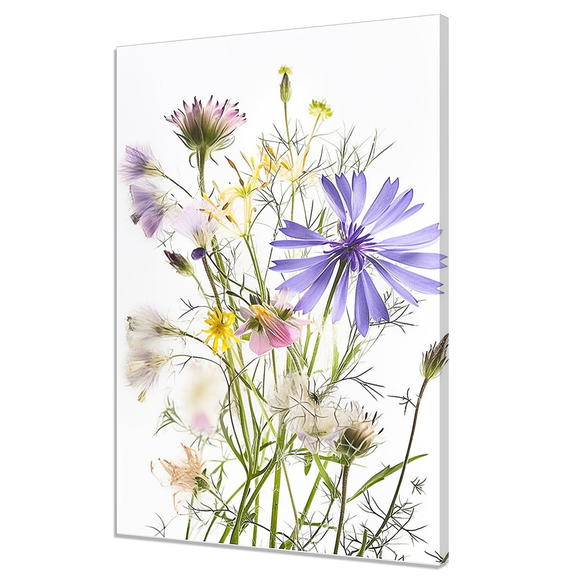 Colorful Spring Wildflowers Cornflowers Watercolor Art Print