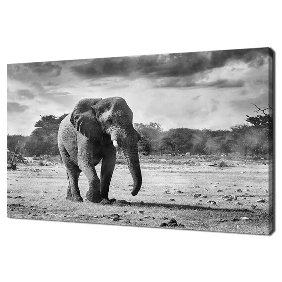African Elephant Walking Savanna Dramatic Sky Black White Photography Travel Poster