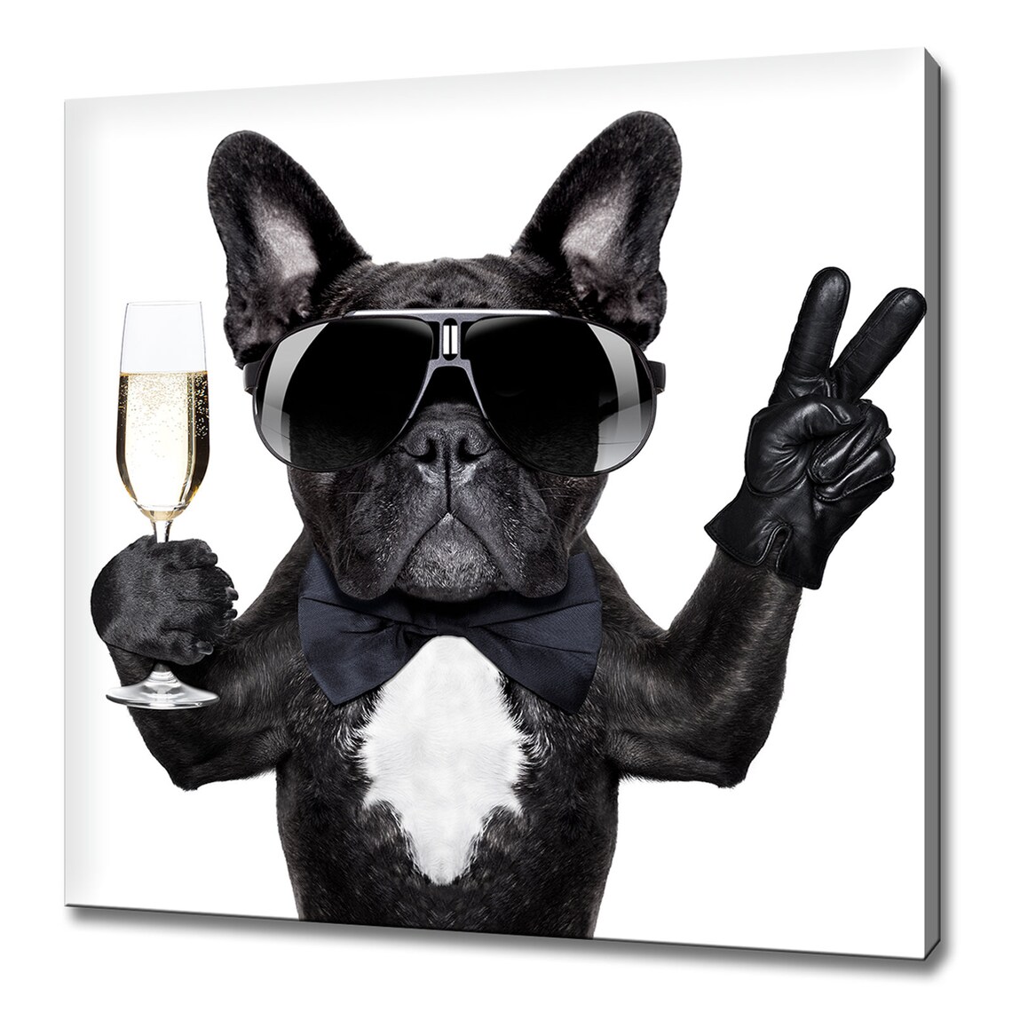 Cool French Bulldog With Sunglasses Bow Tie Champagne Party Poster