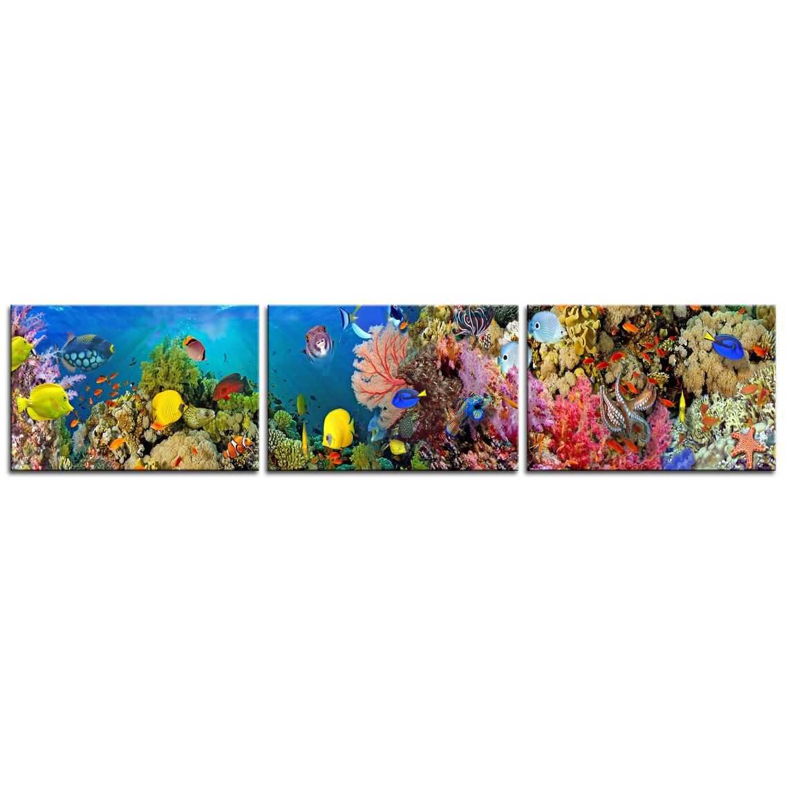 Coral Reef Tropical Fish Underwater Modern Art Print