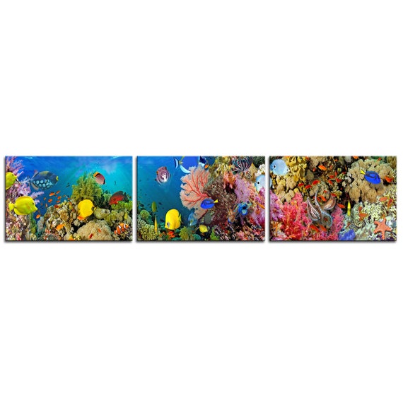 Coral Reef Tropical Fish Underwater Modern Art Print