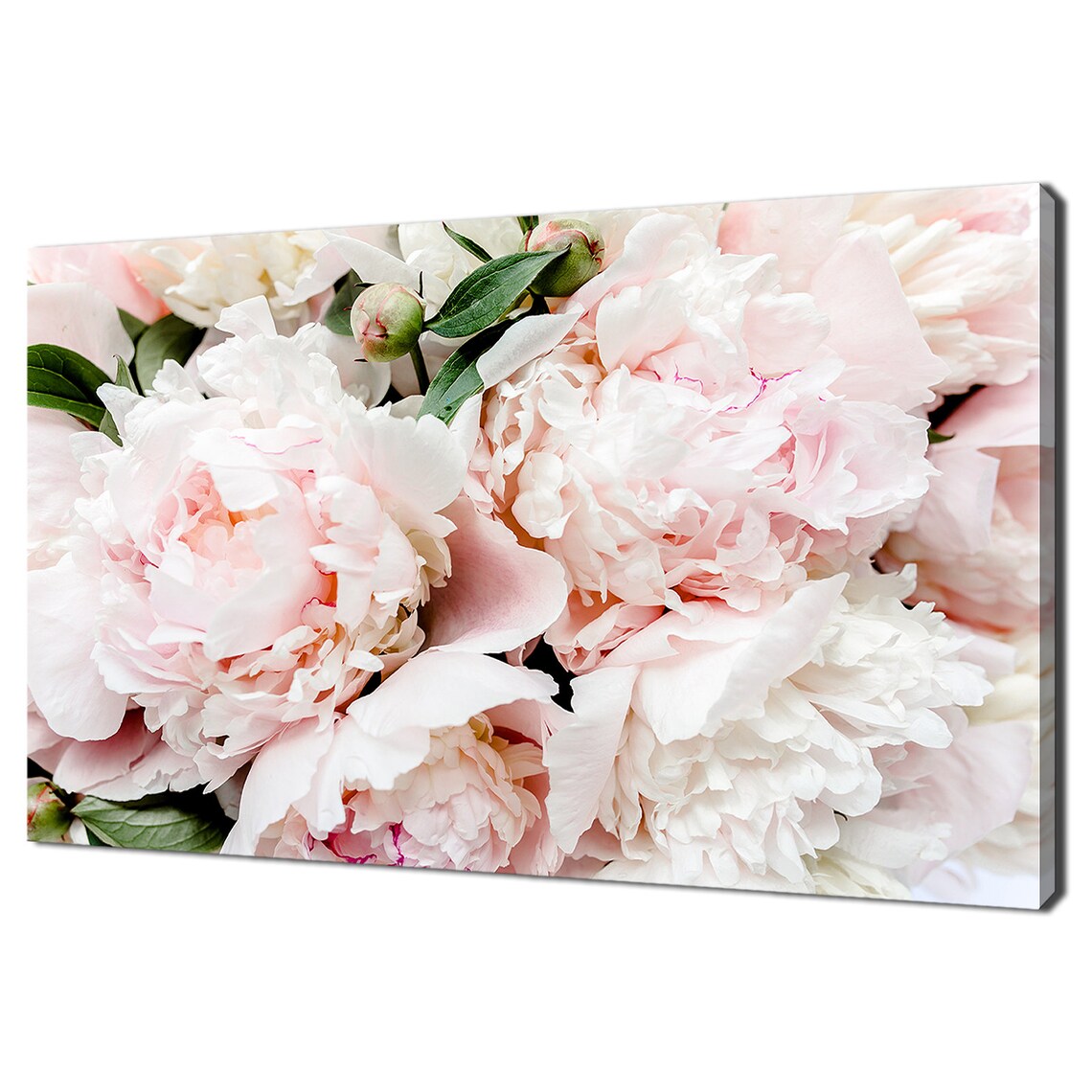 Pink Peony Bouquet, Modern Floral Wall Art Print
