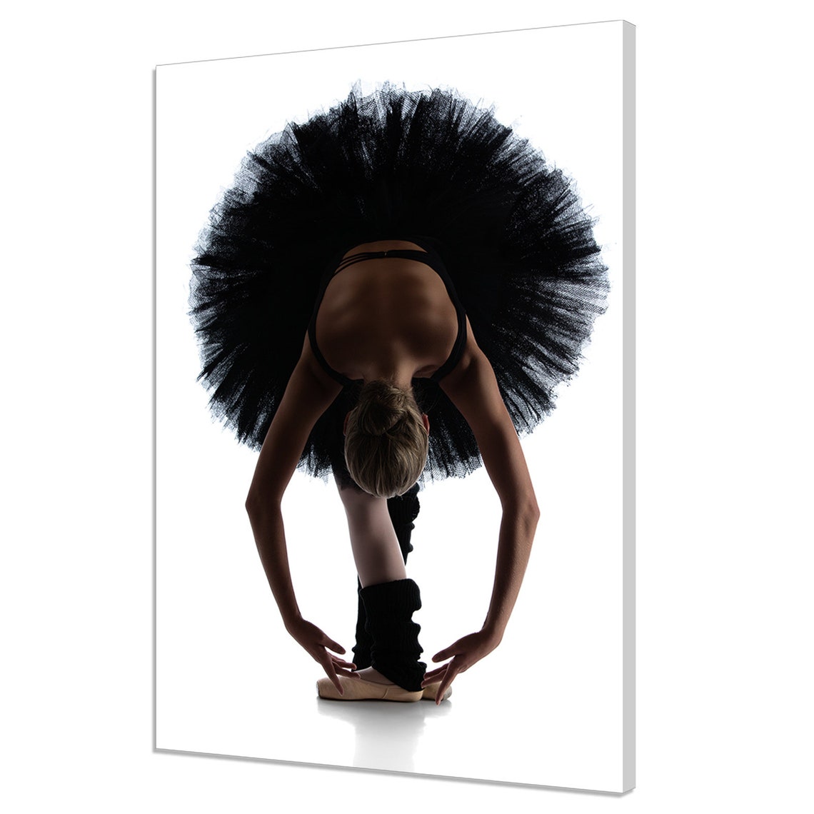 Beautiful Female Ballet Dancer Ballerina In Black Tutu Modern Design Home Decor Print Wall Art Picture