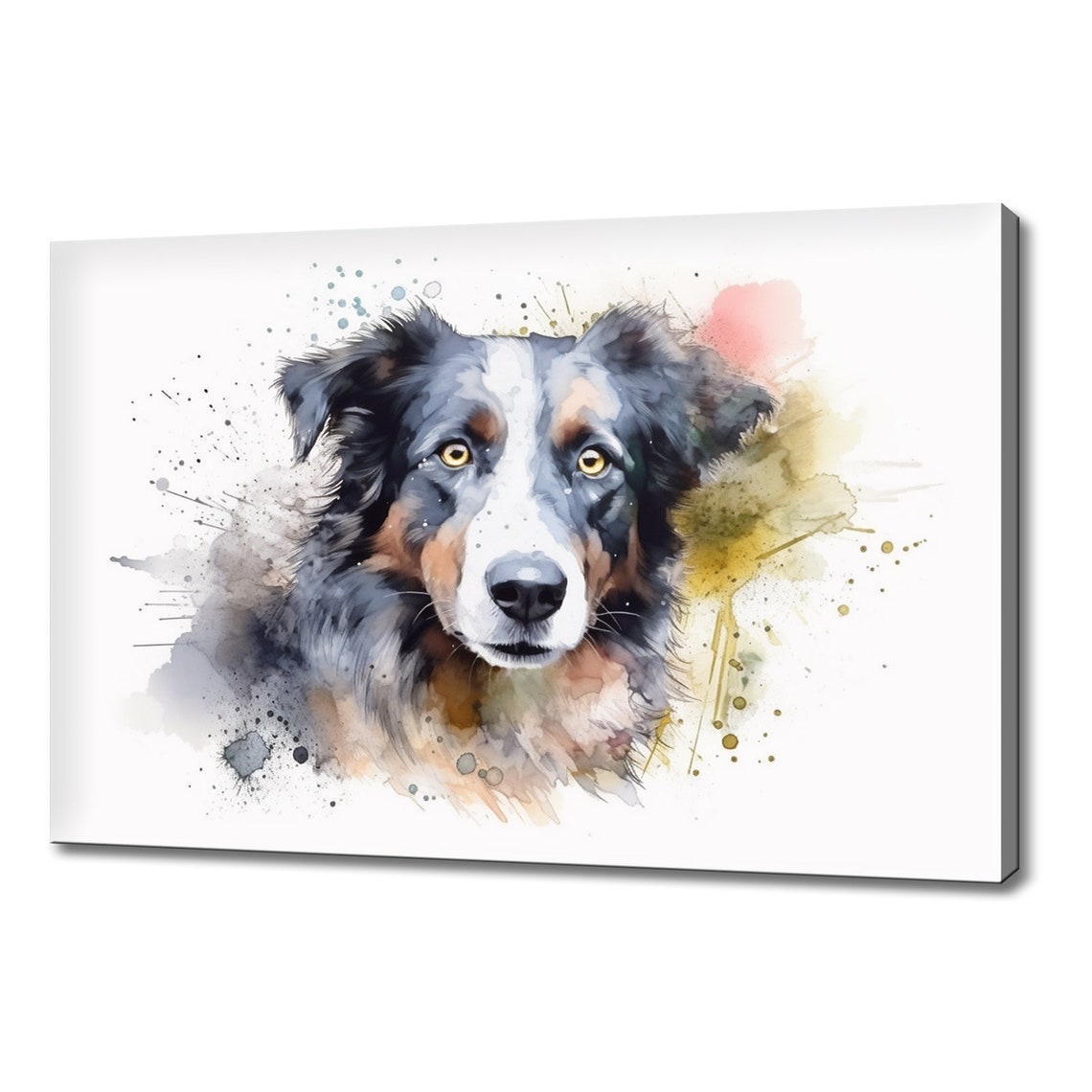 Border Collie Tricolor Portrait Watercolour Splash Dog Poster